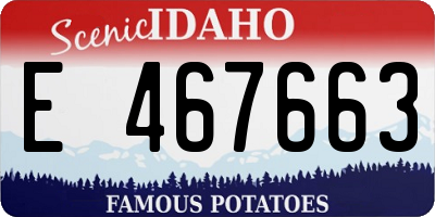 ID license plate E467663