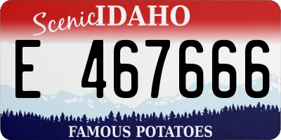 ID license plate E467666