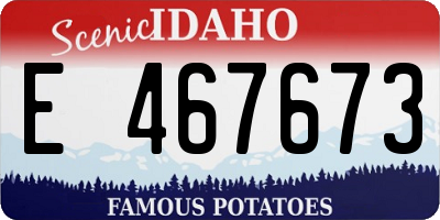 ID license plate E467673