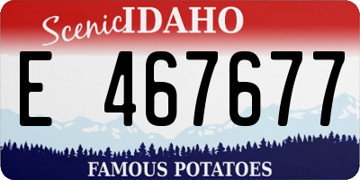 ID license plate E467677
