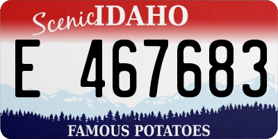 ID license plate E467683