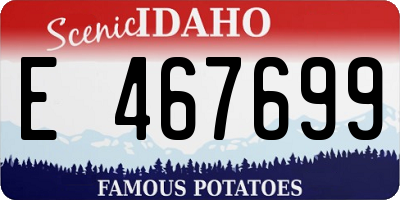 ID license plate E467699
