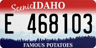 ID license plate E468103