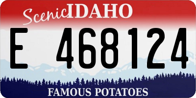 ID license plate E468124