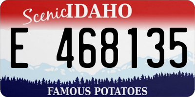 ID license plate E468135