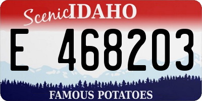 ID license plate E468203