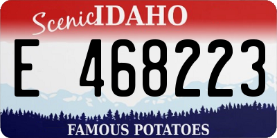 ID license plate E468223