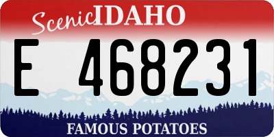 ID license plate E468231