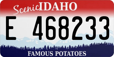 ID license plate E468233