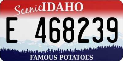 ID license plate E468239