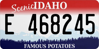 ID license plate E468245