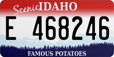 ID license plate E468246
