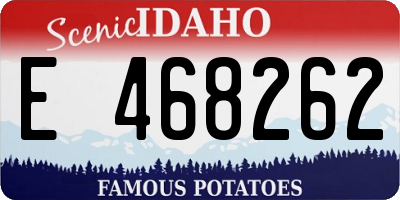 ID license plate E468262