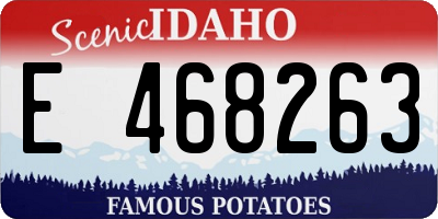 ID license plate E468263