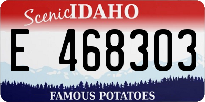 ID license plate E468303