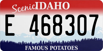 ID license plate E468307