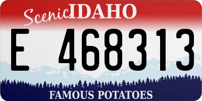 ID license plate E468313