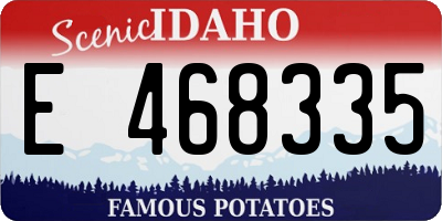 ID license plate E468335