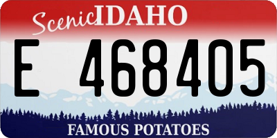 ID license plate E468405