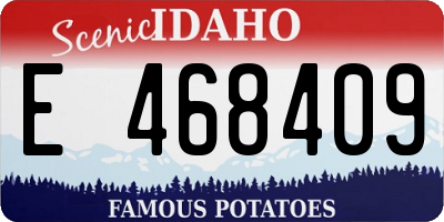 ID license plate E468409