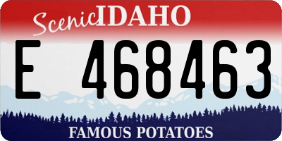 ID license plate E468463