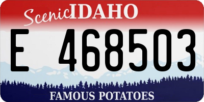 ID license plate E468503