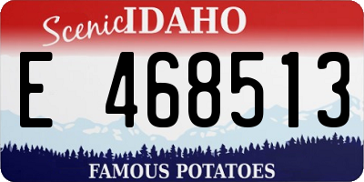 ID license plate E468513
