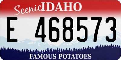 ID license plate E468573