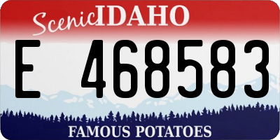ID license plate E468583