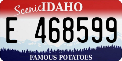 ID license plate E468599