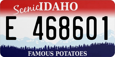 ID license plate E468601