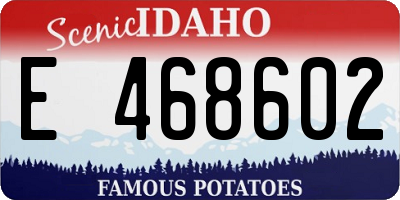 ID license plate E468602