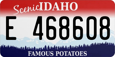 ID license plate E468608