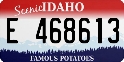 ID license plate E468613