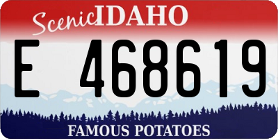 ID license plate E468619