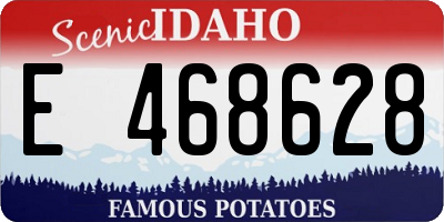 ID license plate E468628