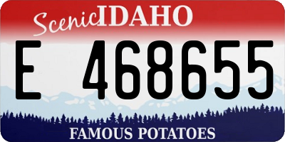 ID license plate E468655