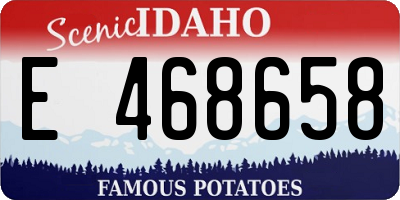 ID license plate E468658