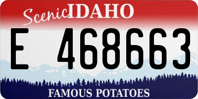 ID license plate E468663