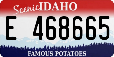 ID license plate E468665