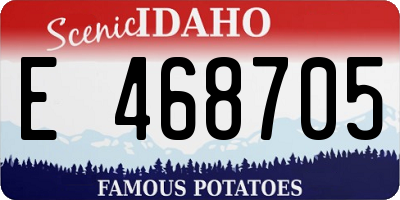 ID license plate E468705
