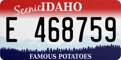 ID license plate E468759