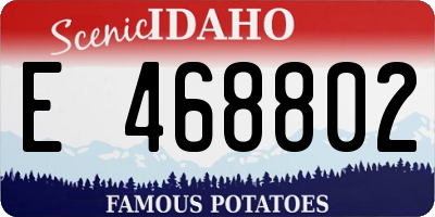 ID license plate E468802