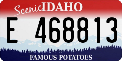 ID license plate E468813