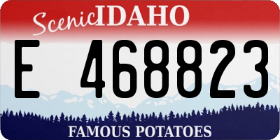 ID license plate E468823