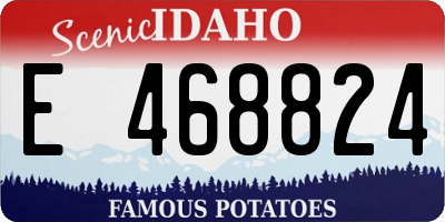 ID license plate E468824