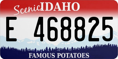 ID license plate E468825