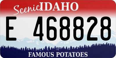 ID license plate E468828