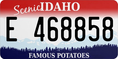 ID license plate E468858