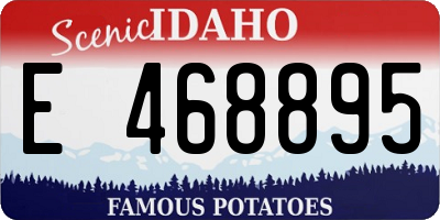 ID license plate E468895